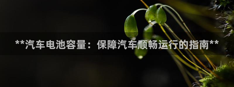 优发国际官网手机号