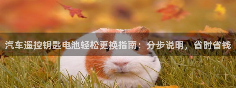 优发国际注册账号