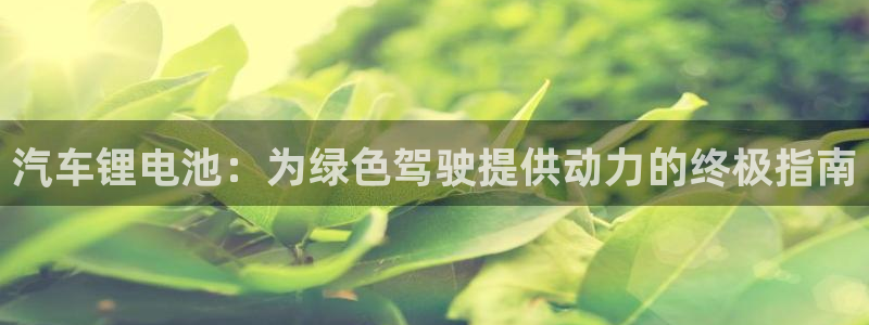 优发国际官方网平台