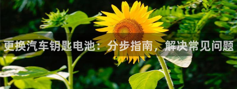 优发国际网官