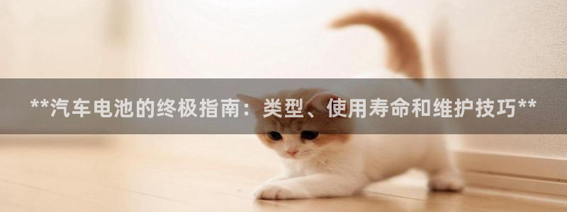 优发国际官方网平台