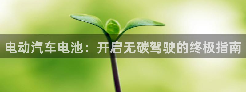 优发国际手机版客户端下载