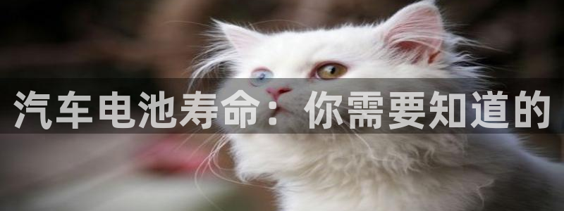 优发国际登陆u