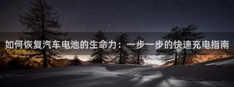 优发国际的官网是正品吗：如何恢复汽车电池的生命力：一步一步的快速充电指南