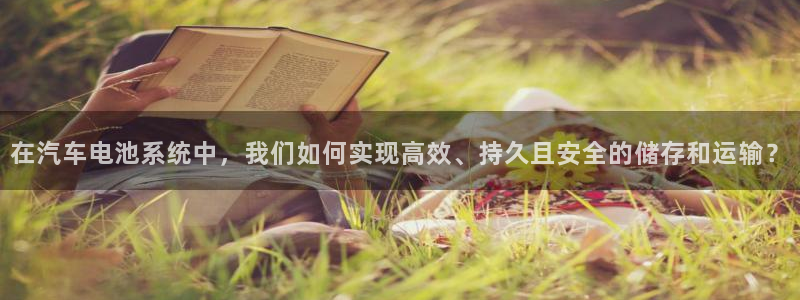 优发国际的官网是：在汽车电池系统中，我们如何实现高效、持久且安全的储存和运输？