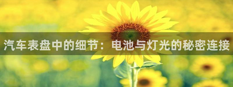优发国际官方网手机版：汽车表盘中的细节：电池与灯光的秘密连接