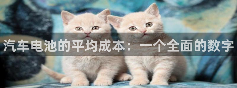 优发娱乐国际线上：汽车电池的平均成本：一个全面的数字