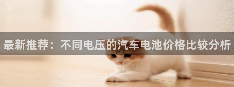 优发国际官网qy88：最新推荐：不同电压的汽车电池价格比较分析