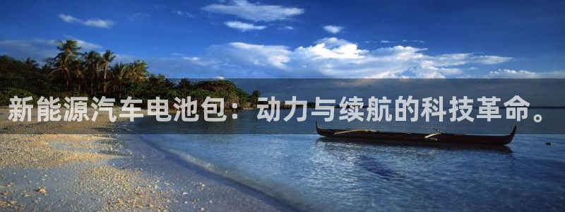 优发国际合并到哪里了：新能源汽车电池包：动力与续航的科技革命。