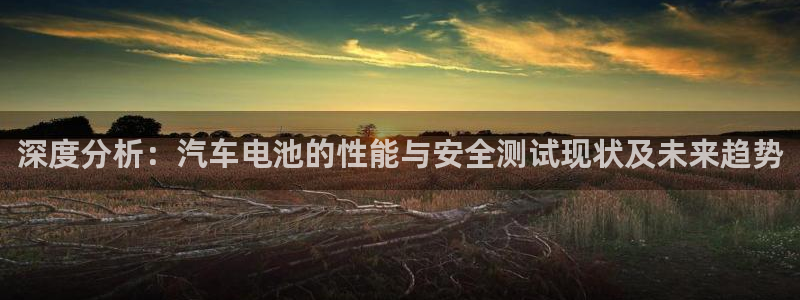 优发国际登录首页官网：深度分析：汽车电池的性能与安全测试现状及未来趋势