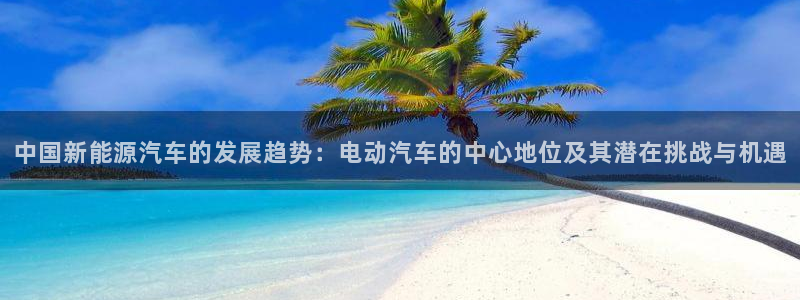 优发国际官网是多少：中国新能源汽车的发展趋势：电动汽车的中心地位及其潜在挑战与机遇
