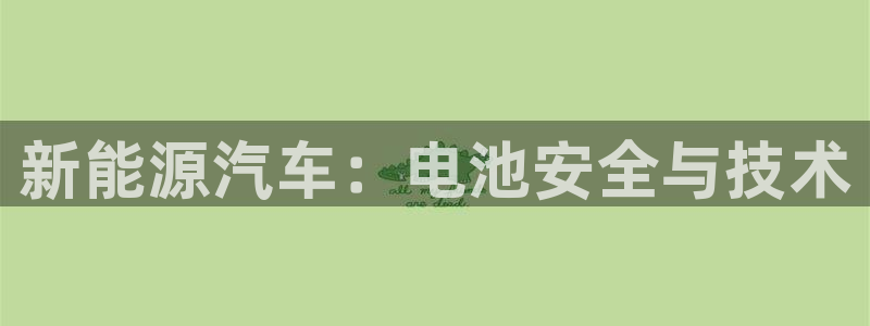 优发国际是合法的吗安全吗：新能源汽车：电池安全与技术