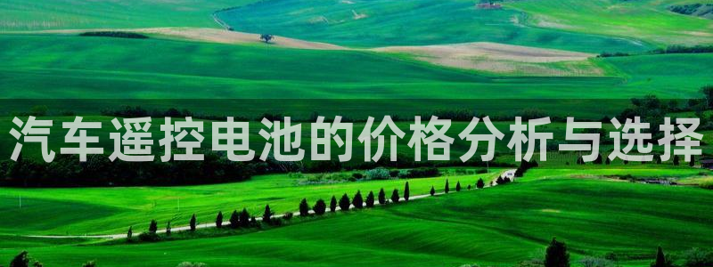 优发国际官网值是多少：汽车遥控电池的价格分析与选择
