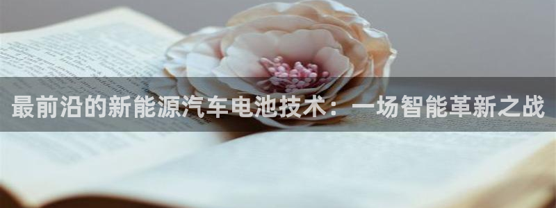 优发国际手机版客户端下载：最前沿的新能源汽车电池技术：一场智能革新之战