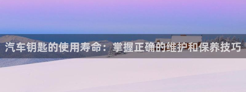 优发国际是不是黑网：汽车钥匙的使用寿命：掌握正确的维护和保养技巧