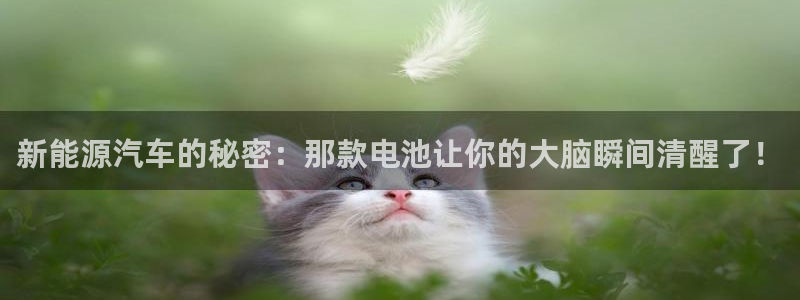 优发国际是真的吗：新能源汽车的秘密：那款电池让你的大脑瞬间清醒了！