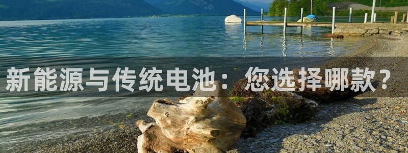 优发国际合并到哪里了啊：新能源与传统电池：您选择哪款？
