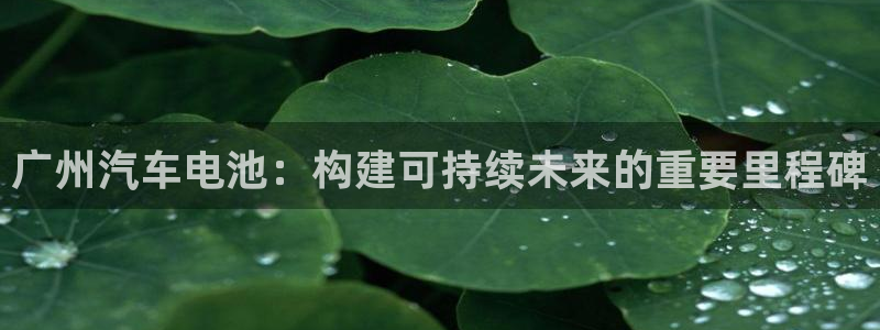 优发国际官方网