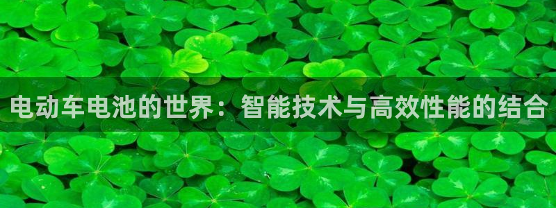 优发国际安卓版下载安装教程：电动车电池的世界：智能技术与高效性能的结合