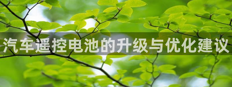 优发国际客服联系方式电话：汽车遥控电池的升级与优化建议