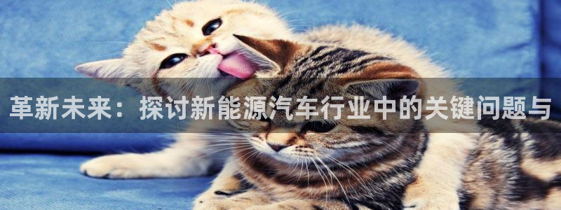 优发国际手机版：革新未来：探讨新能源汽车行业中的关键问题与