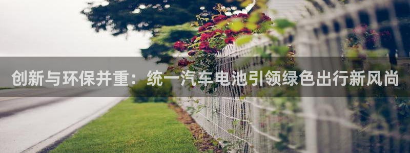 优发国际集团股份有限公司官网：创新与环保