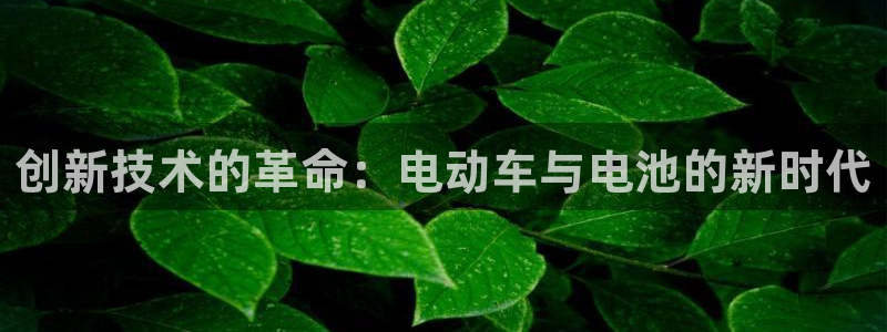 优发娱乐pt官网客户端：创新技术的革命：电动车与电池的新时代