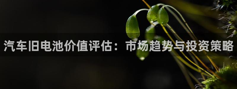 优发国际游戏官网：汽车旧电池价值评估：市场趋势与投资策略