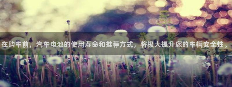优发国际手机版客户端下载：在购车前，汽车电池的使用寿命和推荐方式，将极大提升您的车辆安全性。