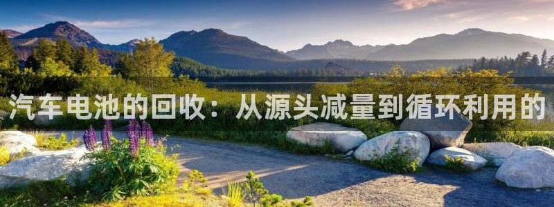 优发国际首页首页y6：汽车电池的回收：从