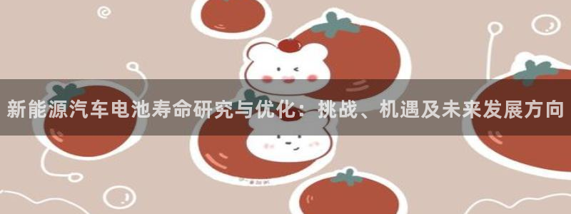优发国际游戏官网：新能源汽车电池寿命研究