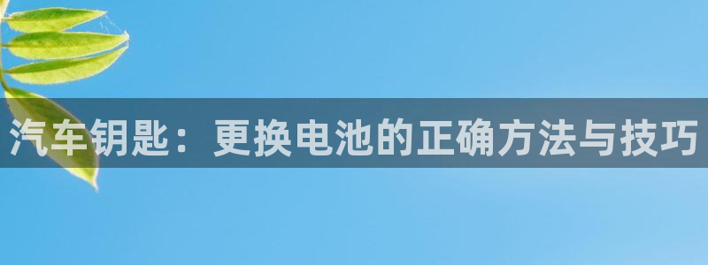 优发国际是真的吗：汽车钥匙：更换电池的正确方法与技巧