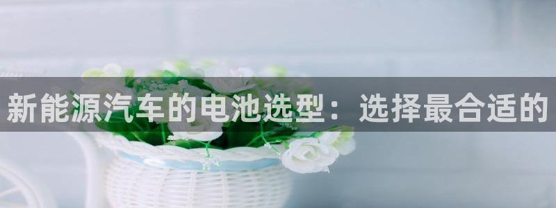 优发国际手机客户端下载安装手机版：新能源汽车的电池选型：选择最合适的