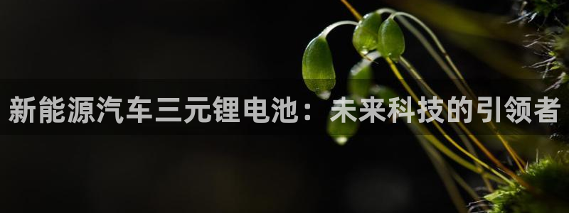 优发国际手机版客户端下载