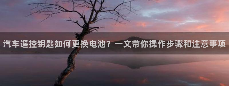 优发国际不出款怎么办：汽车遥控钥匙如何更换电池？一文带你操作步骤和注意事项