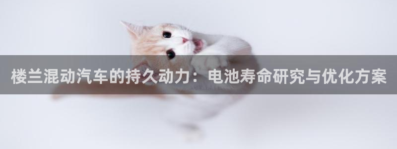 优发国际下载app：楼兰混动汽车的持久动力：电池寿命研究与优化方案