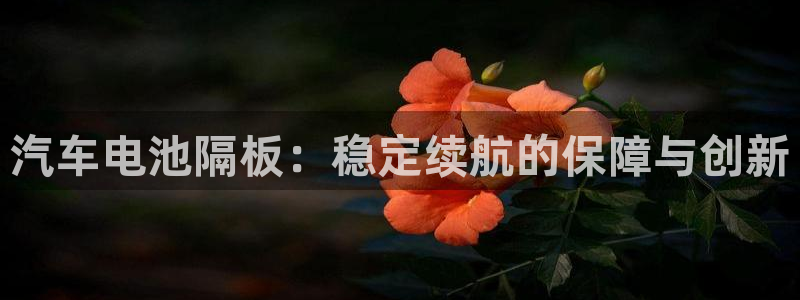 优发国际网站官网