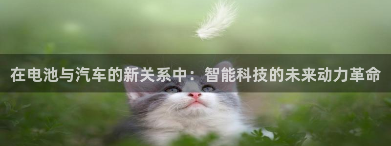 优发国际软件下载官网