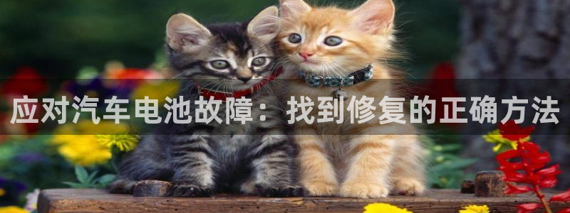 优发国际下载app