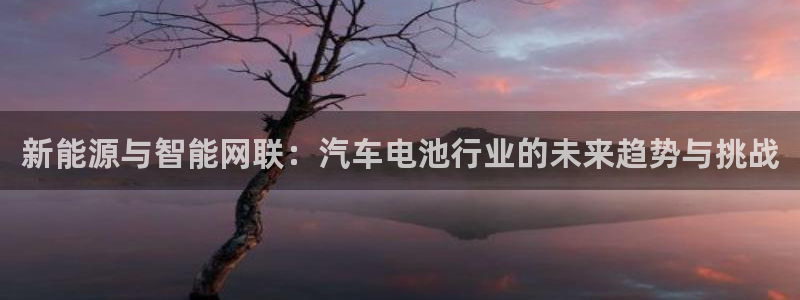 优发国际安卓版下载安装：新能源与智能网联：汽车电池行业的未来趋势与挑战