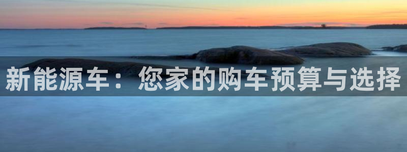 优发国际官网是多少号码：新能源车：您家的购车预算与选择