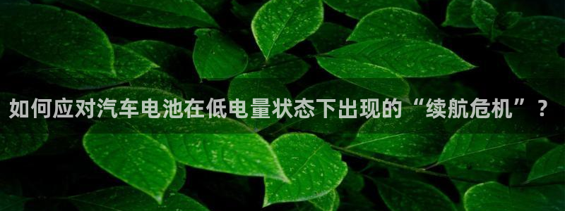 优发国际手机版客户端官网