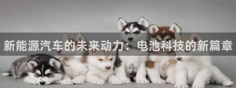 优发国际集团股份有限公司官网