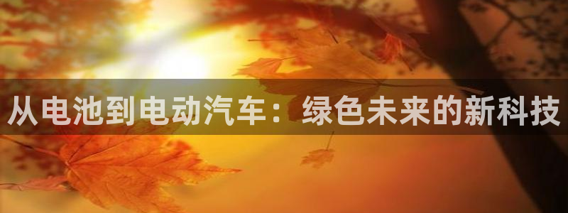 优发国际登录l8