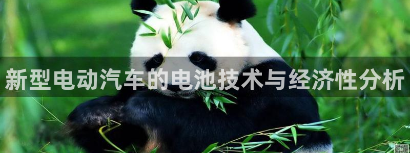 优发国际手机版客户端官网