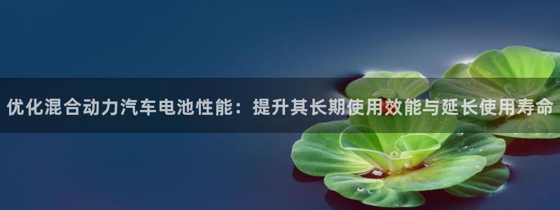 优发国际手机安装登录