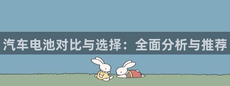 优发国际平台app下载官网：汽车电池对比与选择：全面分析与推荐