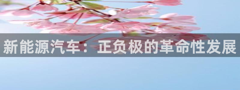 优发国际不出款了吗：新能源汽车：正负极的革命性发展