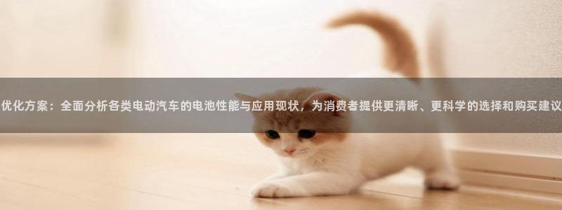 优发国际手机客户端官网下载：优化方案：全