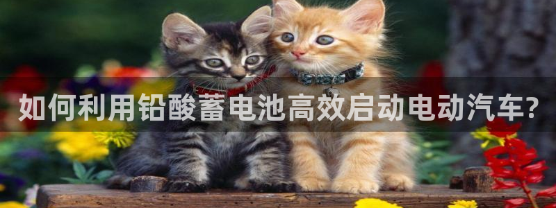 优发国际注册账号：如何利用铅酸蓄电池高效